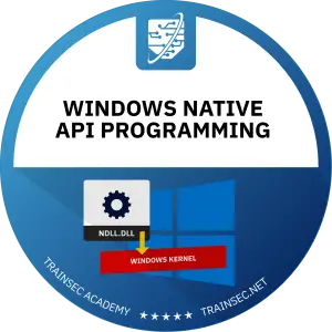 Windows Native API Programming