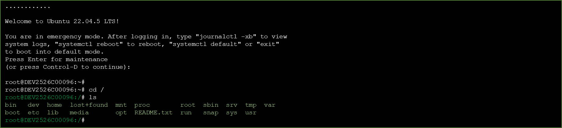 systemd emergency target