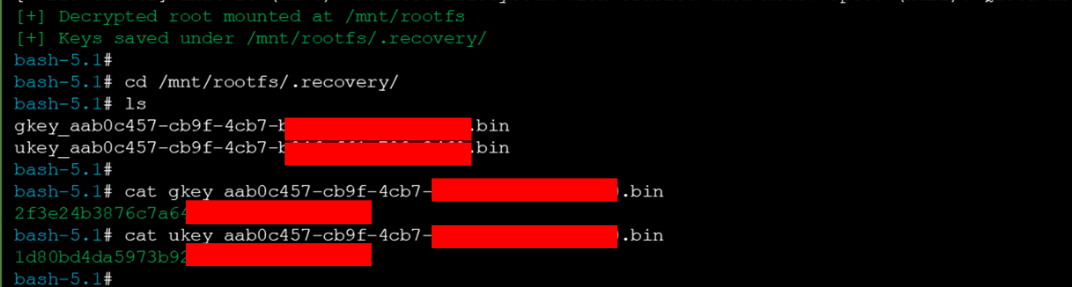 Decrypted rootfs mounted